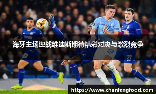 海牙主场迎战维迪斯期待精彩对决与激烈竞争