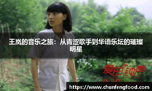王岚的音乐之旅：从青涩歌手到华语乐坛的璀璨明星