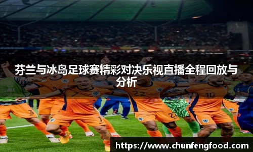 芬兰与冰岛足球赛精彩对决乐视直播全程回放与分析