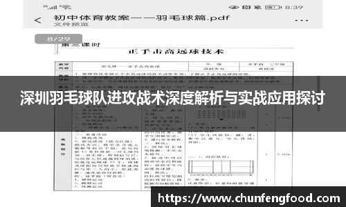 深圳羽毛球队进攻战术深度解析与实战应用探讨