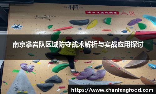 南京攀岩队区域防守战术解析与实战应用探讨
