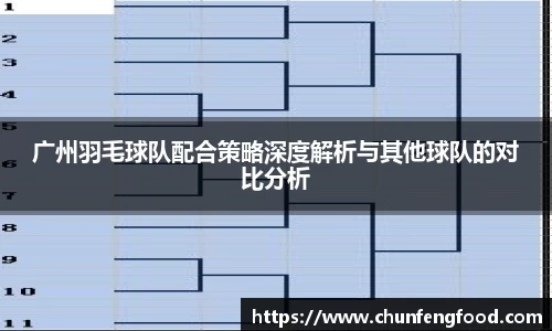 广州羽毛球队配合策略深度解析与其他球队的对比分析